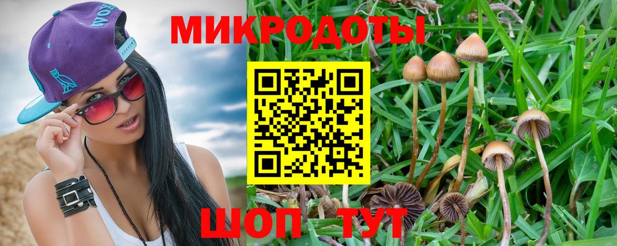 Ангарск  Галлюциногенные грибы мицелий  Вход с VPN  Галлюциногенные грибы прущие грибы 