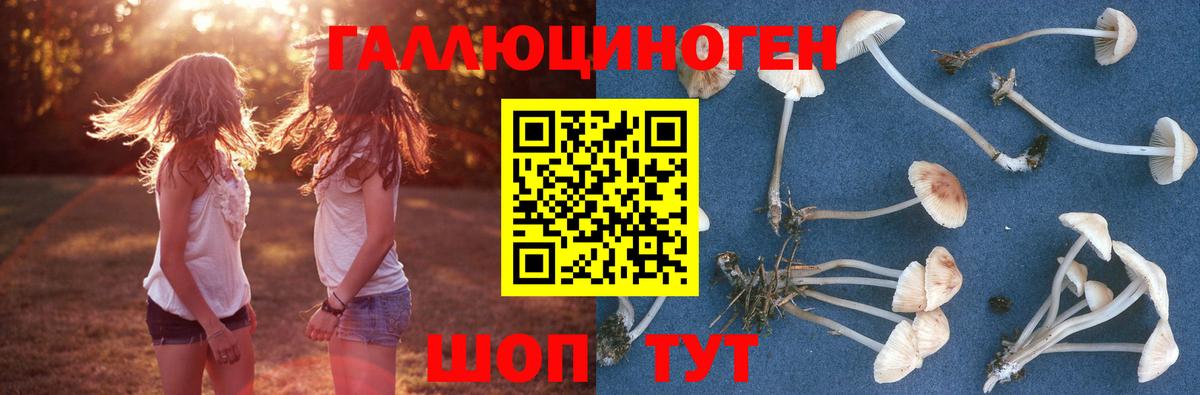 Псилоцибиновые грибы мицелий Ангарск